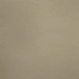 1041088 LARSON BOATS Boat Foam Taupe Yd