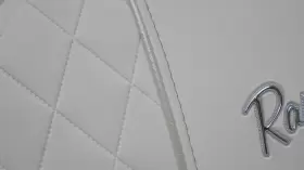 729773H.14 RANGER Port Leaning Post Backrest Cushion Boat #3