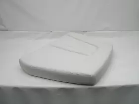 1BSF21600Q SAILFISH Forward Coffin Cushion Boat #2