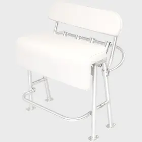 L10-2010BSA-1 TACO MARINE Boat Neptune Leaning Post