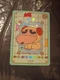 Holo AR Crayon Shinchan card-SCT-AR-008 AR chinese