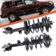 Front Struts with Coil Spring Assembly for 03 - 05 Honda Pilot 01 - 02 Acura MDX