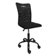 Banks Outdoors M360 Chair