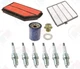 Tune Up Kit w/ NGK Laser Iridium Plugs 2003-2008 for Honda Pilot 01-06 Acura MDX