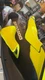 Sea-Doo 2024 Spark Trixx 2 Up Seat BLUE OEM 295101259