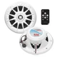 Boss Audio MRGB55W 5.25" Marine Speakers w/RGB Lighting - White MRGB55W UPC 7...