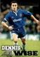 Merlin Premier Gold 1996-1997 #31 Dennis Wise card